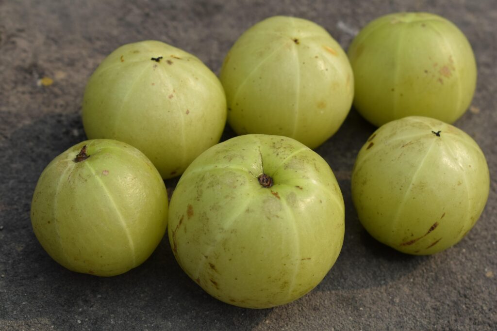 indian gooseberry 6229061 1920